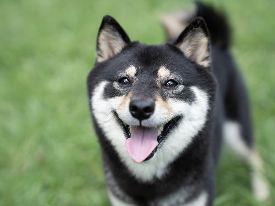 冬の星空天然プラネタリウム