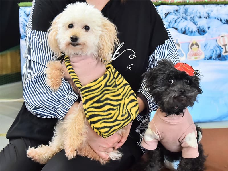 雪国の節分＆ひな祭り