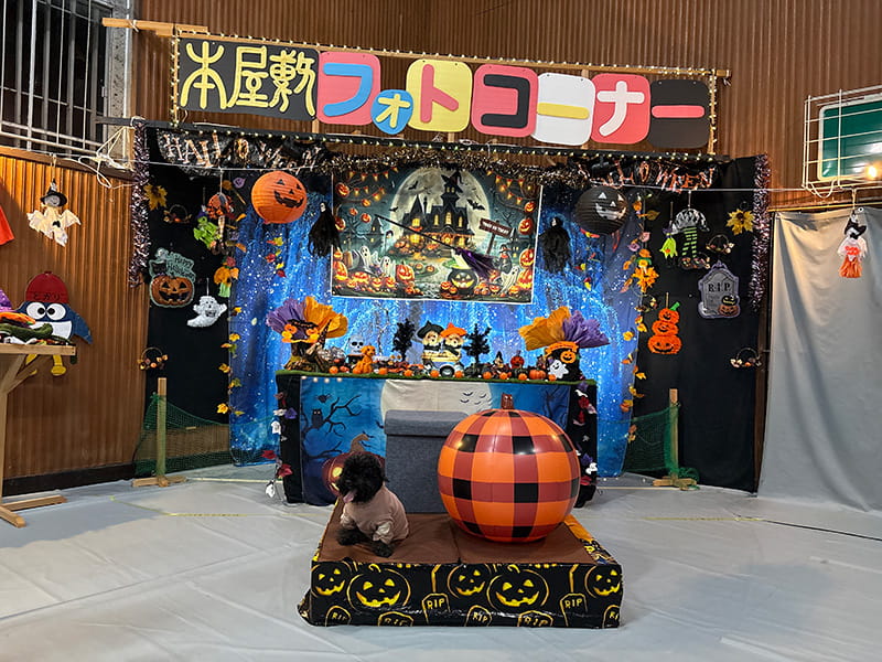 トイプードルのハロウィン