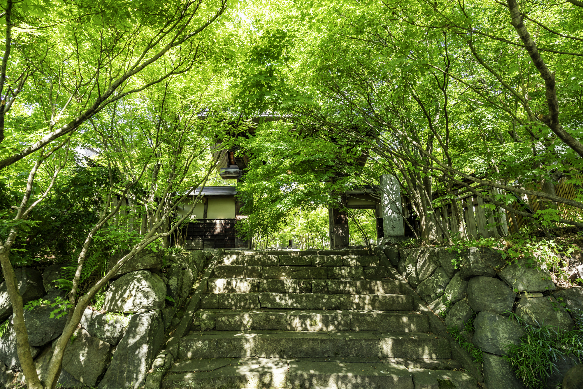 飯山の寺巡り